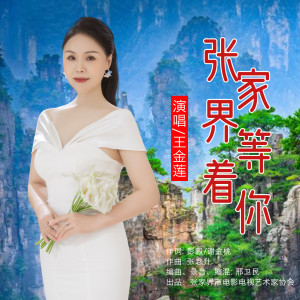 Listen to 张家界等着你 (完整版) song with lyrics from 谢金桃