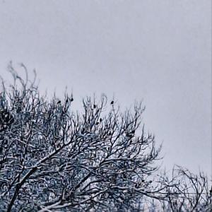 收聽ILY CLYDX的Dew Drops (Explicit)歌詞歌曲