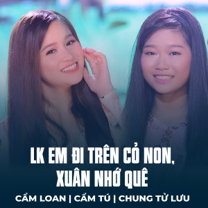 Listen to LK Em Đi Trên Cỏ Non, Xuân Nhớ Quê song with lyrics from Cẩm Loan