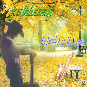 ดาวน์โหลดและฟังเพลง En Mi Pueblito พร้อมเนื้อเพลงจาก Los Pajareros