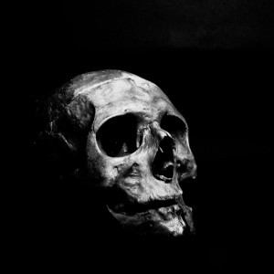 Listen to Scary (其他) song with lyrics from Rocé