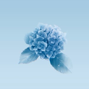 ดาวน์โหลดและฟังเพลง cascade พร้อมเนื้อเพลงจาก THE LIQUID RAY