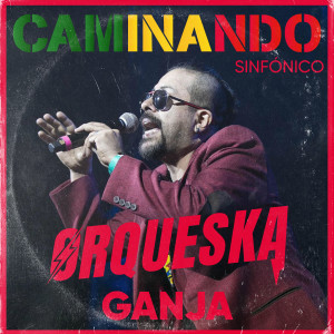 Listen to Caminando (Sinfónica) song with lyrics from Orqueska International