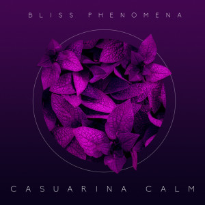 Bliss Phenomena的專輯Casuarina Calm