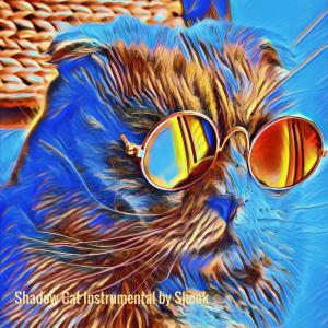 Album Shadow Cat (Instrumental) from Shook