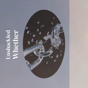 Listen to Defy Wherewith song with lyrics from Sadna
