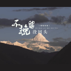 Dengarkan lagu 不挽留没回头 nyanyian 烟嗓林娅 dengan lirik