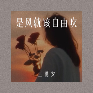 Listen to 是风就该自由吹 (DJ版伴奏) song with lyrics from 王守亿