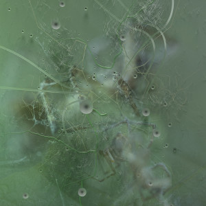 收聽Priori的Winged (Donato Dozzy Remix)歌詞歌曲