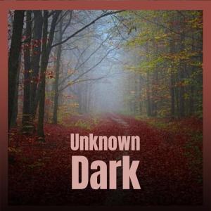 Various的专辑Unknown Dark