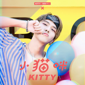 Listen to 小貓咪 (伴奏) song with lyrics from 李文