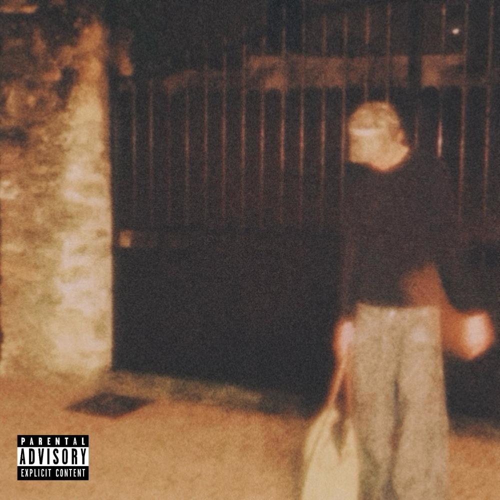 salyr (feat. Skayy) (Explicit)