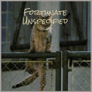Dengarkan lagu Fortunate Unspecified nyanyian Erison Swar dengan lirik