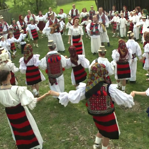 Album Ziceți Una La Nuntași from 