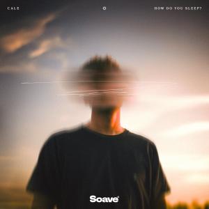 Album How Do You Sleep? oleh Cale