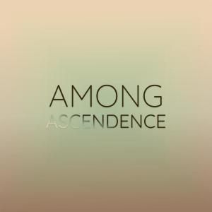 อัลบัม Among Ascendence ศิลปิน Various Artists