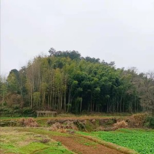 ดาวน์โหลดและฟังเพลง 难渡 (DJ伦巴广场舞版) พร้อมเนื้อเพลงจาก 鲁昌雨