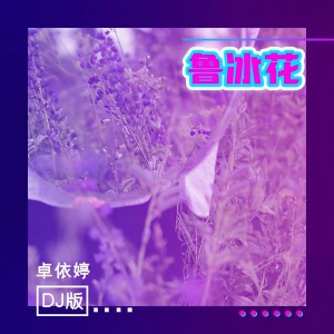 收聽卓依婷的魯冰花 (DJ版)歌詞歌曲