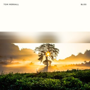 Dengarkan lagu Elysian Fields nyanyian Tom Merrall dengan lirik