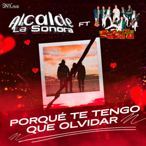 收听Alcalde La Sonora的Porque Te Tengo Que Olvidar歌词歌曲