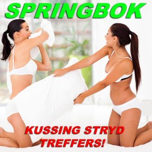 Springbok的專輯Springbok Kussing Stryd Treffers