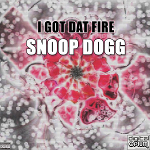 收聽Snoop Dogg的I Got Dat Fire歌詞歌曲