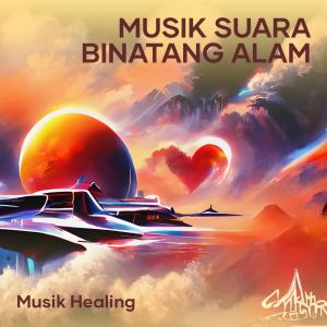 Listen to Musik Suara Binatang Alam song with lyrics from musik healing