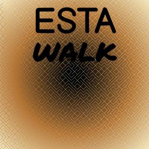 Various Artists的专辑Esta Walk