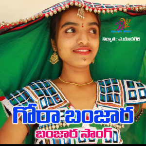 Listen to GORA BANJARA GORURE BANJARA SONG song with lyrics from MUNILAL BANJARA