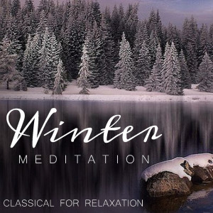 收听Liepaja Philharmonic Orchestra的VI歌词歌曲