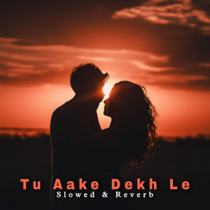 LEVIN的專輯Tu Aake Dekh Le (Perfectly Reverb)