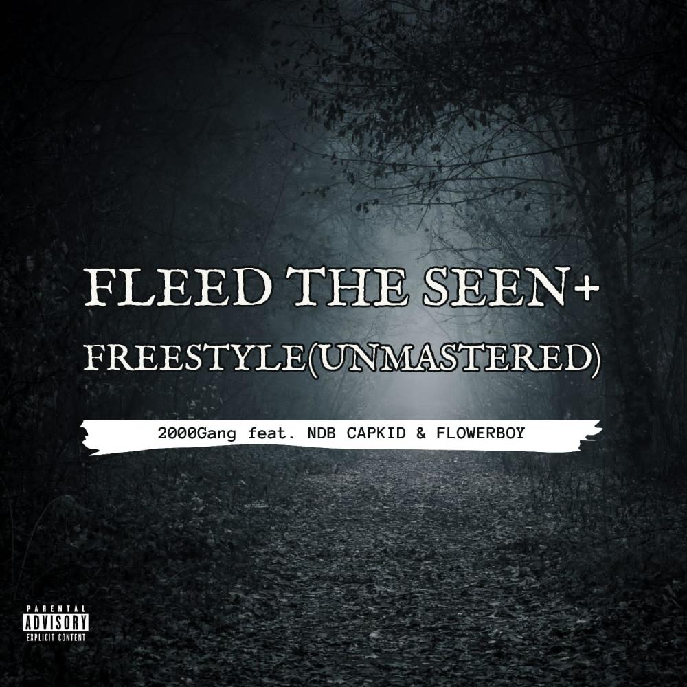FLEED THE SEEN + FREESTYLE (feat. NDB CapKid & FlowerBoy) (UNMASTERED) (Explicit)