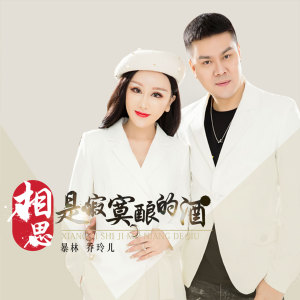 Dengarkan 相思是寂寞酿的酒 (DJ版伴奏) lagu dari 暴林 dengan lirik