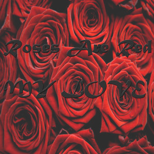 Listen to I Just Called To Say I Love You song with lyrics from The Rachel Porter Orchestra