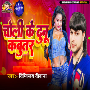 Listen to Choli Ke Dunu Kabutar song with lyrics from Digvijay Deewana
