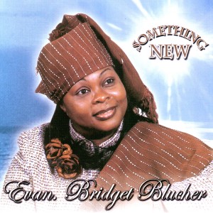 ดาวน์โหลดและฟังเพลง Something New พร้อมเนื้อเพลงจาก Bridget Blucher