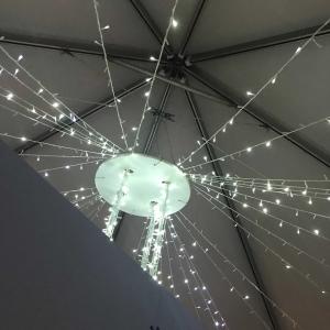 ดาวน์โหลดและฟังเพลง wasted. (Explicit) พร้อมเนื้อเพลงจาก xofilo