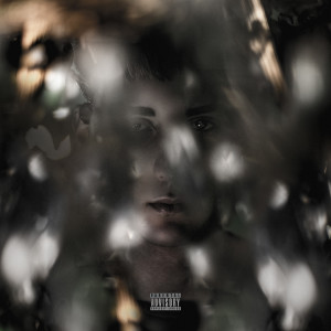 Album Pezzi di Vetro (Explicit) from Grein