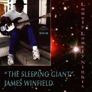 ดาวน์โหลดและฟังเพลง Lonely, Lonely, Nights พร้อมเนื้อเพลงจาก James Winfield