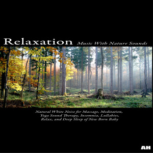 ดาวน์โหลดและฟังเพลง Sleep, Baby Sleep พร้อมเนื้อเพลงจาก Relaxation Music With Nature Sounds