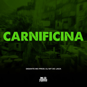 Listen to Carnificina song with lyrics from Dj MT do Jaca
