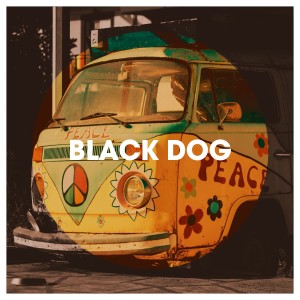 Album Black Dog oleh 70s Love Songs