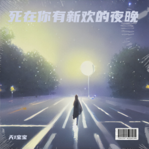 อัลบัม 死在你有新欢的夜晚 ศิลปิน 天1宝宝