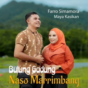 Listen to Bulung Gadung Naso Marrimbang song with lyrics from Farro Simamora