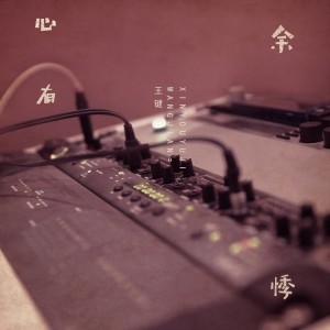 收听王键的心有余悸歌词歌曲