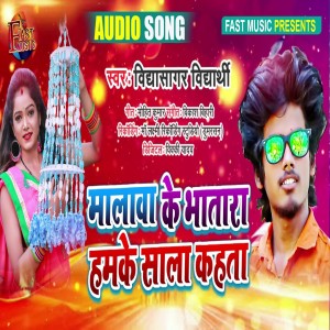 Listen to Malwa Ke Bhatara Hamke Sala Kahata song with lyrics from Vidya Sagar Vidharthi