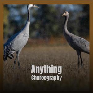 Album Anything Choreography from Various