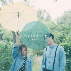 havy ดาวน์โหลดและฟังเพลงฮิตจาก havy