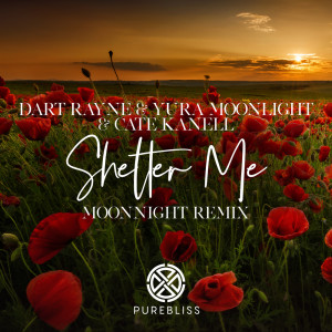 Dart Rayne的专辑Shelter Me (Moonnight Remix)