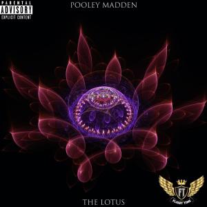 ดาวน์โหลดและฟังเพลง WiFi(feat. Red) (Explicit) พร้อมเนื้อเพลงจาก Pooley Madden